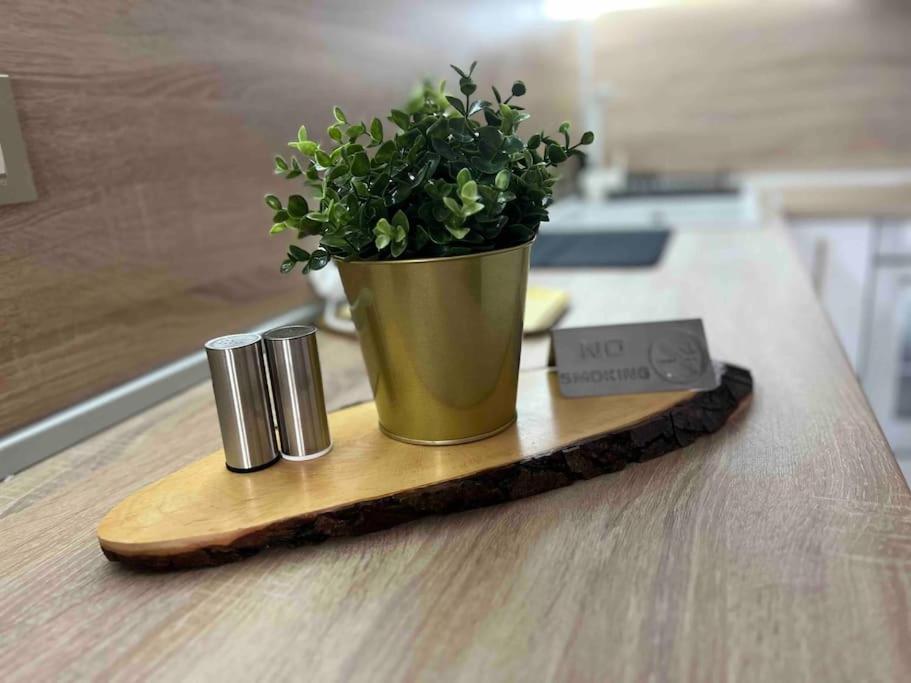 Cosy Appartement Green Life Bansko Ngoại thất bức ảnh