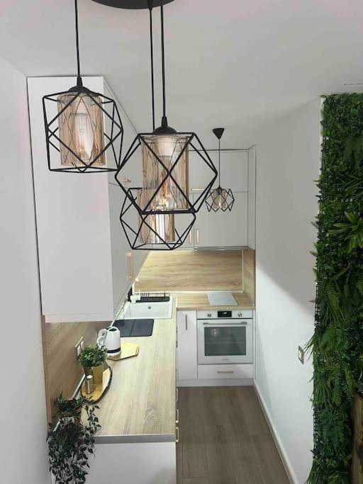 Cosy Appartement Green Life Bansko Ngoại thất bức ảnh